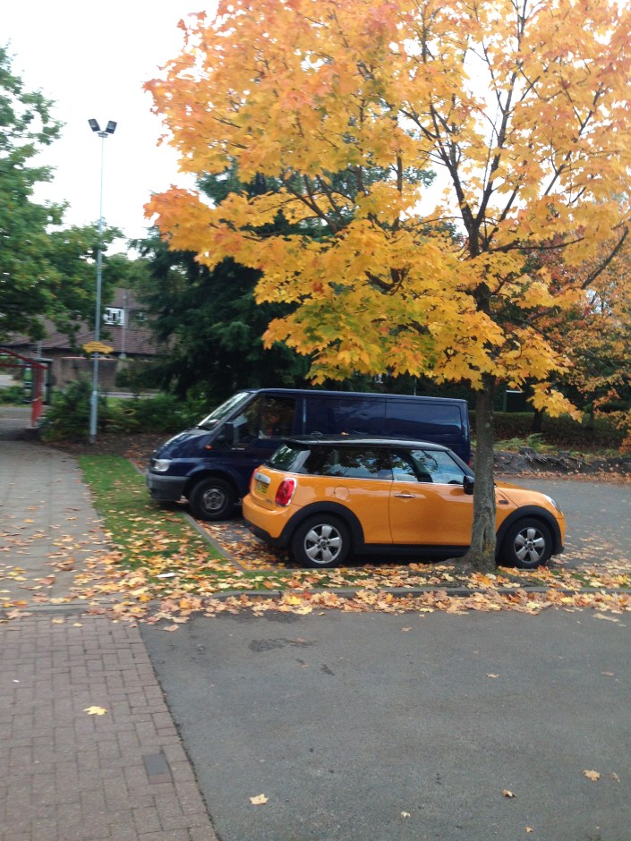 School Window Cleaning Berkshire & Surrey