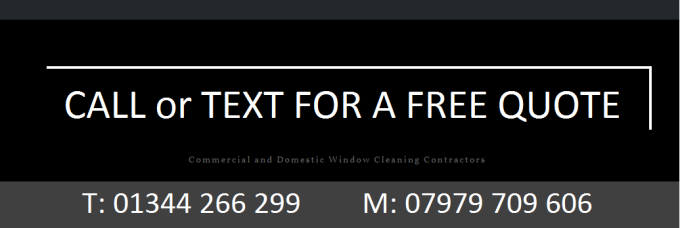 Local window cleaner